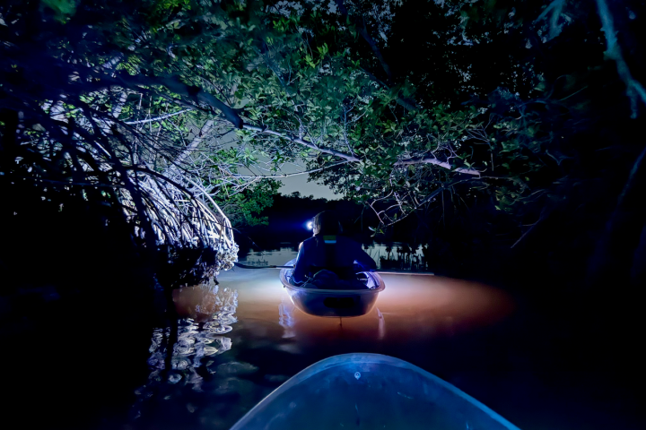Nighttime kayaking on a dark river under tree branches.