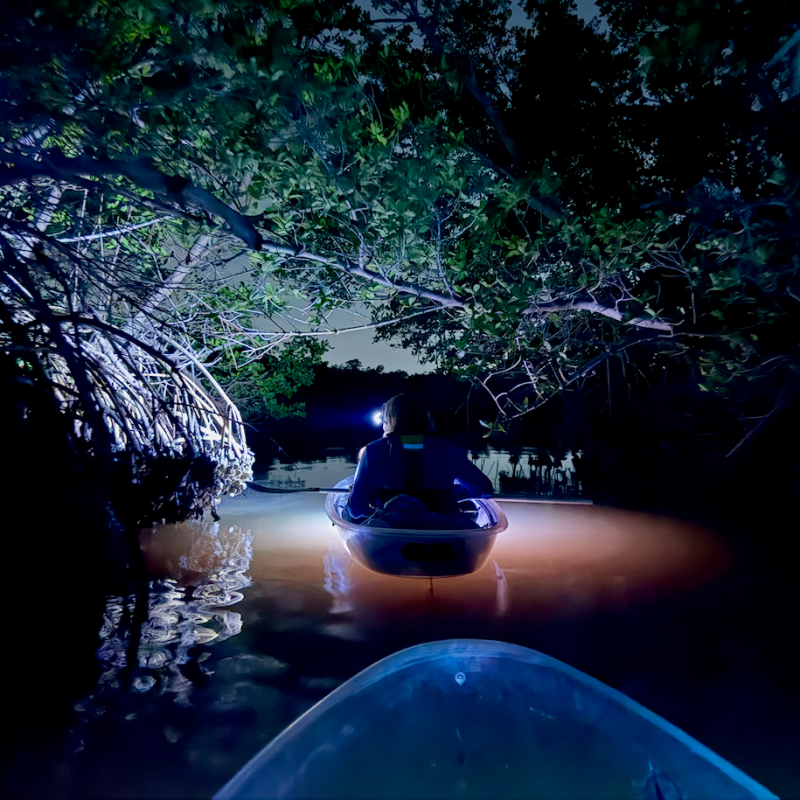 Nighttime kayaking on a dark river under tree branches.