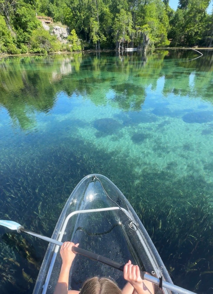 Person paddling a clear kayak on a calm, clear lake surrounded by lush green trees.