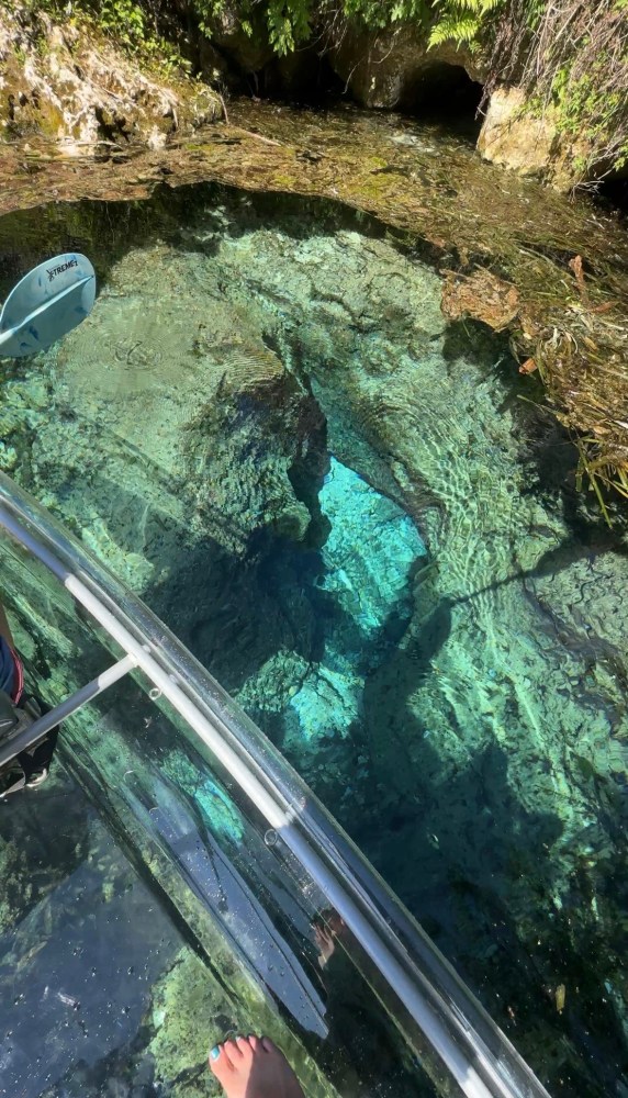 Clear water over rocky underwater formations viewed through a glass-bottom boat.
