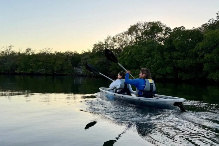 Two people kayaking on calm water at sunset near trees.