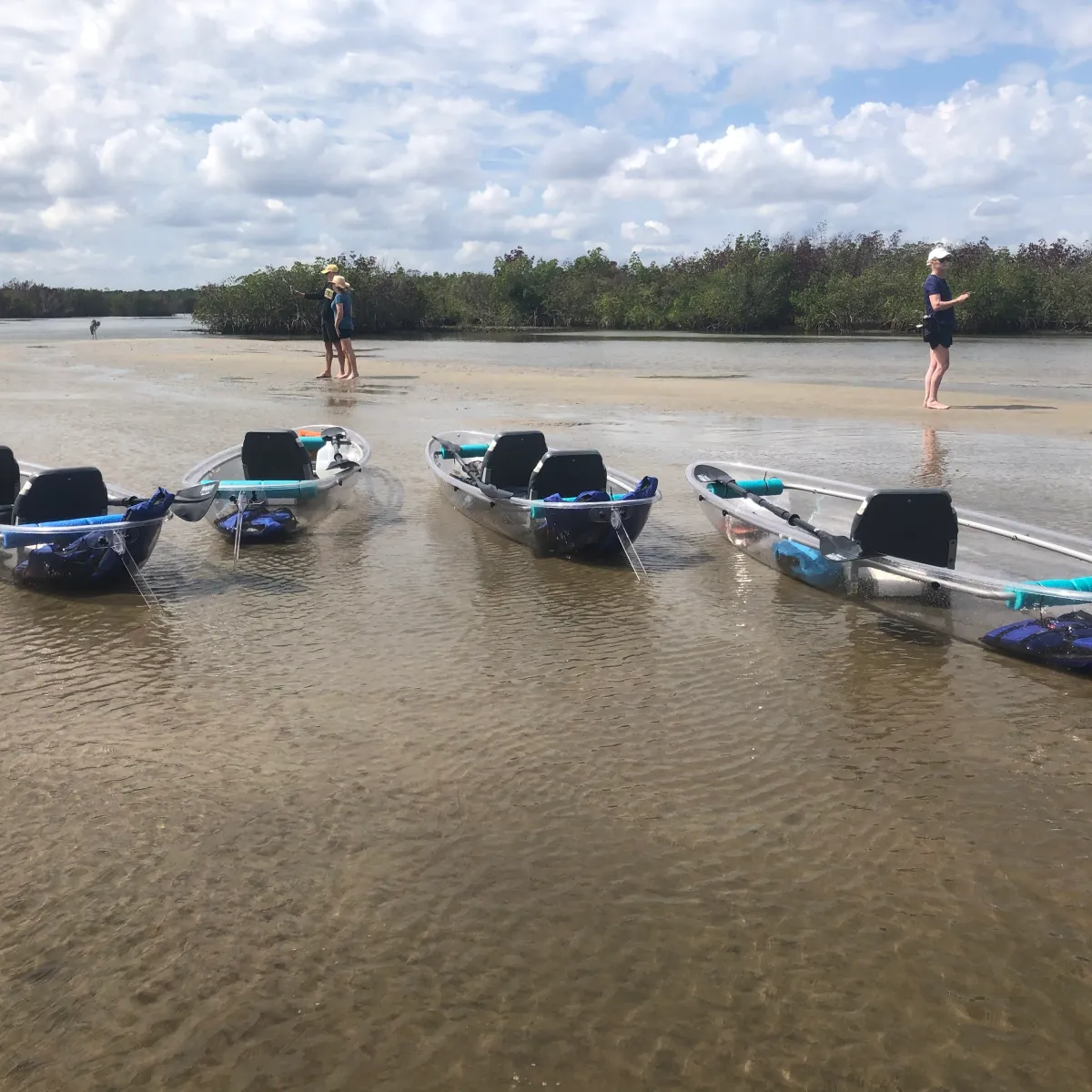 Four transparent kayaks on shallow water, two people standing nearby on sandbar.