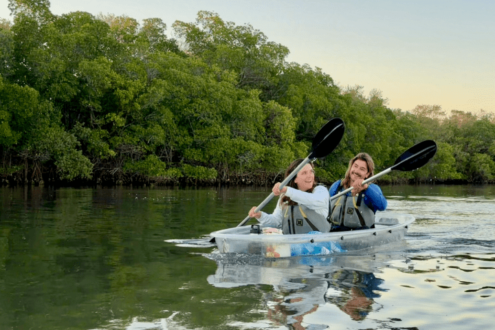 Two people kayaking in clear water near green trees.