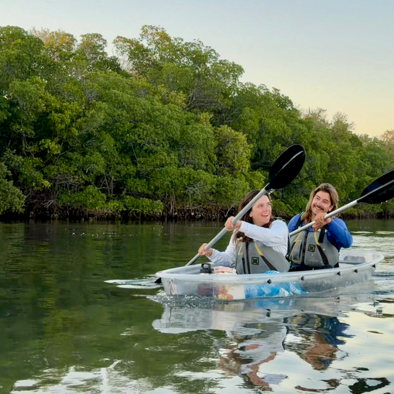 Two people kayaking in clear water near green trees.
