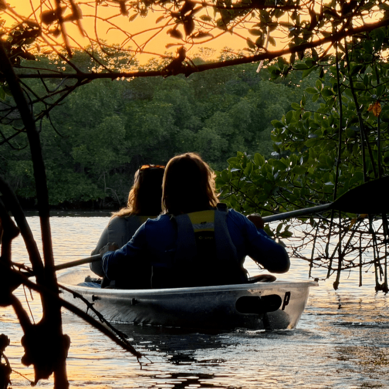 Two people kayaking on calm water at sunset, surrounded by trees.