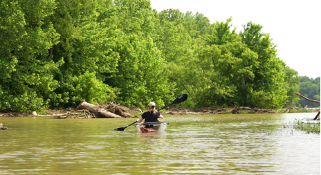 Person kayaking on a calm river surrounded by lush green trees.