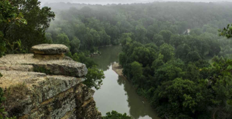 Misty forest with river view from rocky cliff edge.