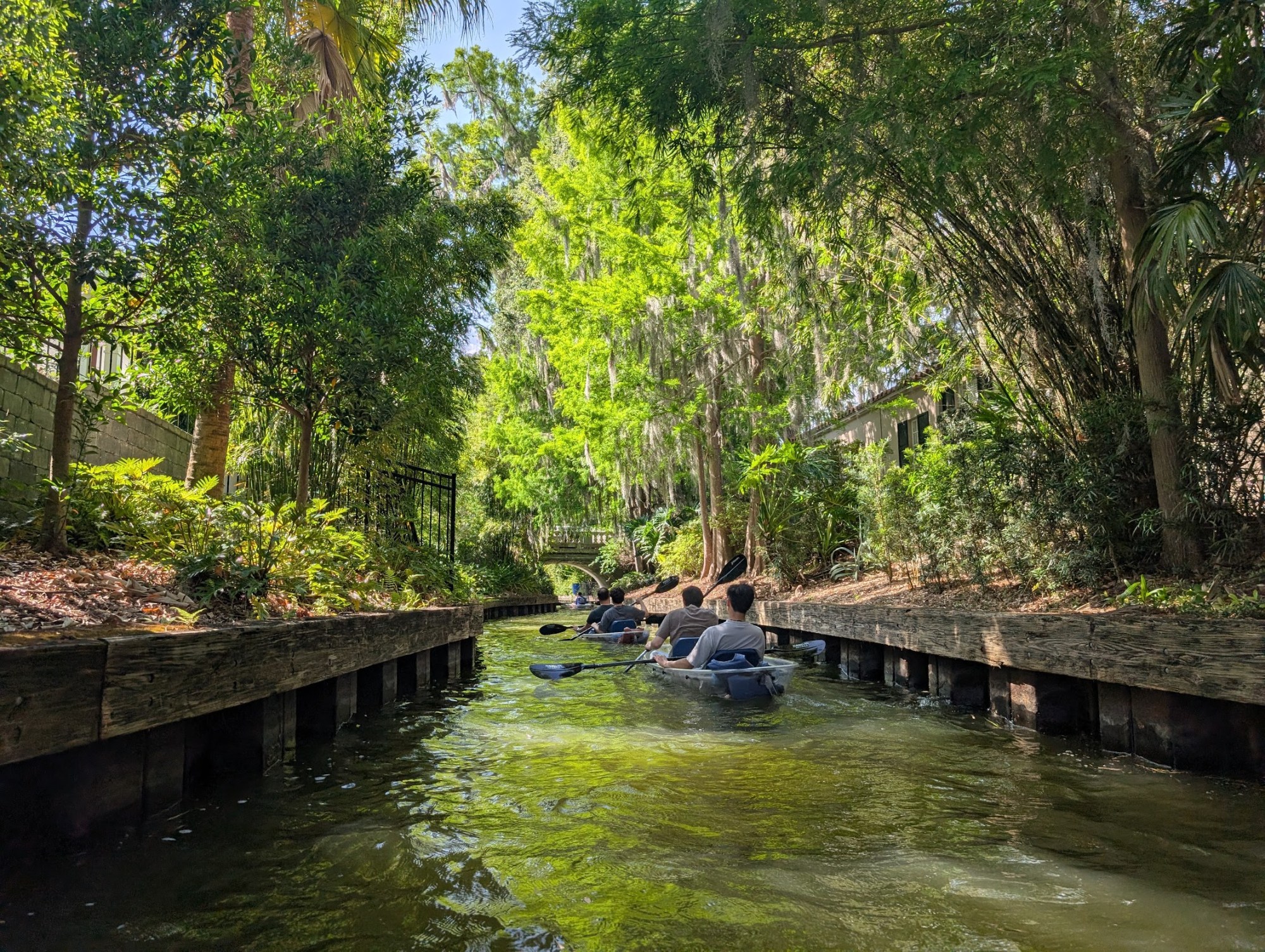 People kayaking through a narrow, lush green waterway.