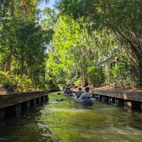 People kayaking through a narrow, lush green waterway.