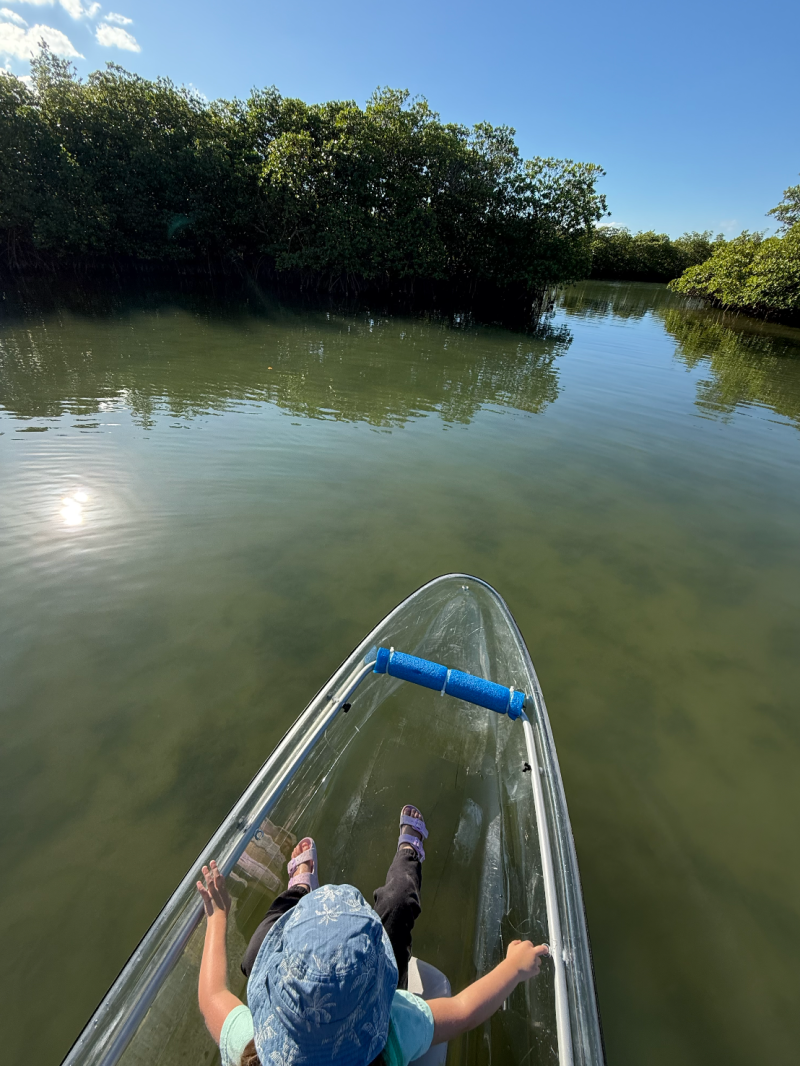 Person in blue hat kayaking on calm water near green trees.