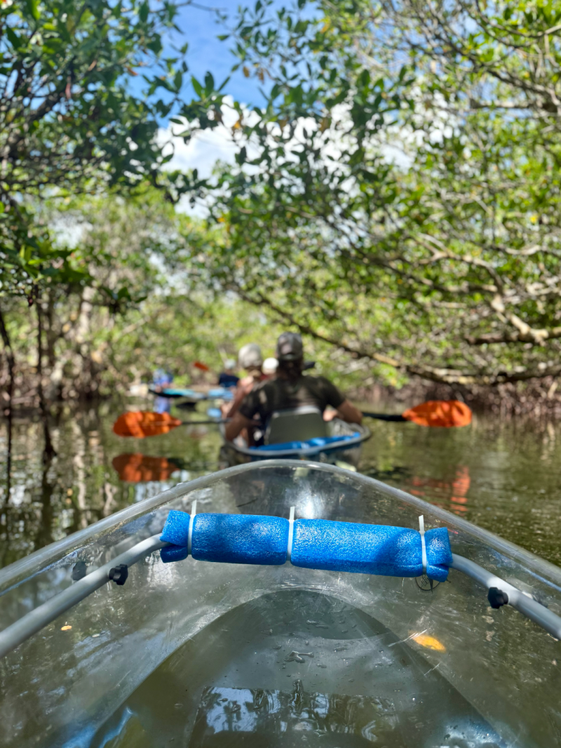 People kayaking through mangrove tunnel in clear kayaks.