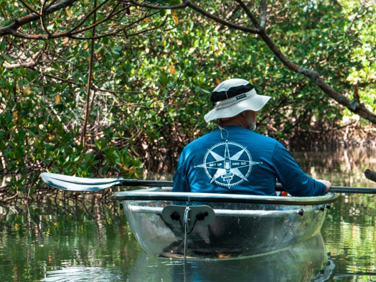 Person in a clear kayak paddling through a mangrove forest.