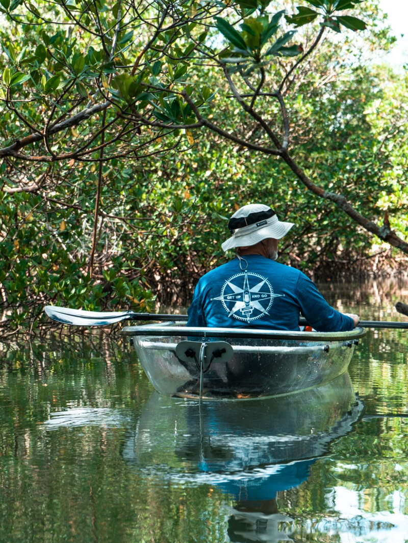 Person in a clear kayak paddling through a mangrove forest.