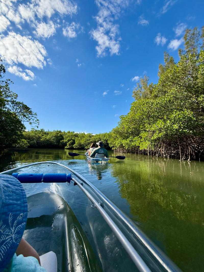 People kayaking on a calm, tree-lined river under a blue sky.