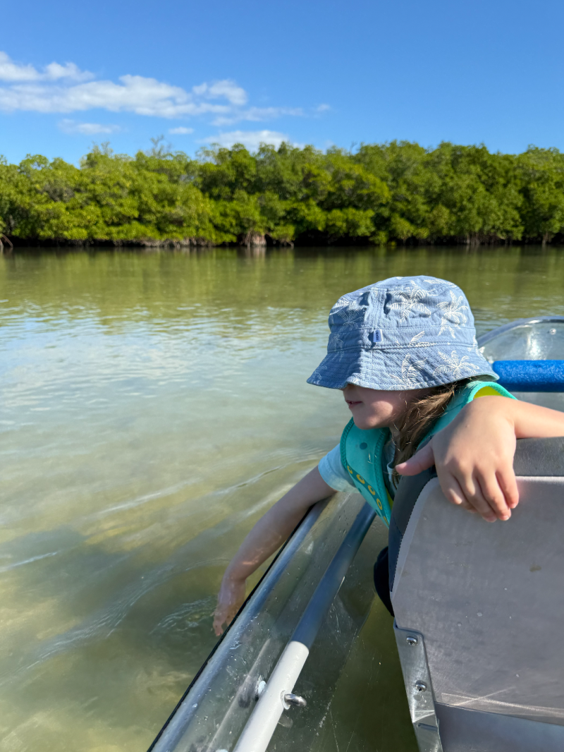 Child in blue hat touches water from a boat near green trees.