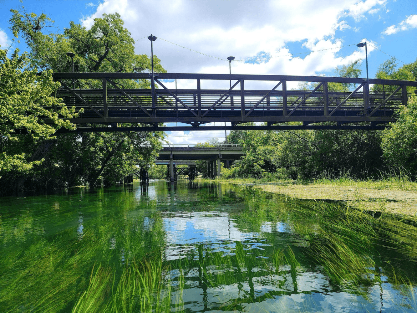 Two bridges over a clear, green river with trees and grasses.