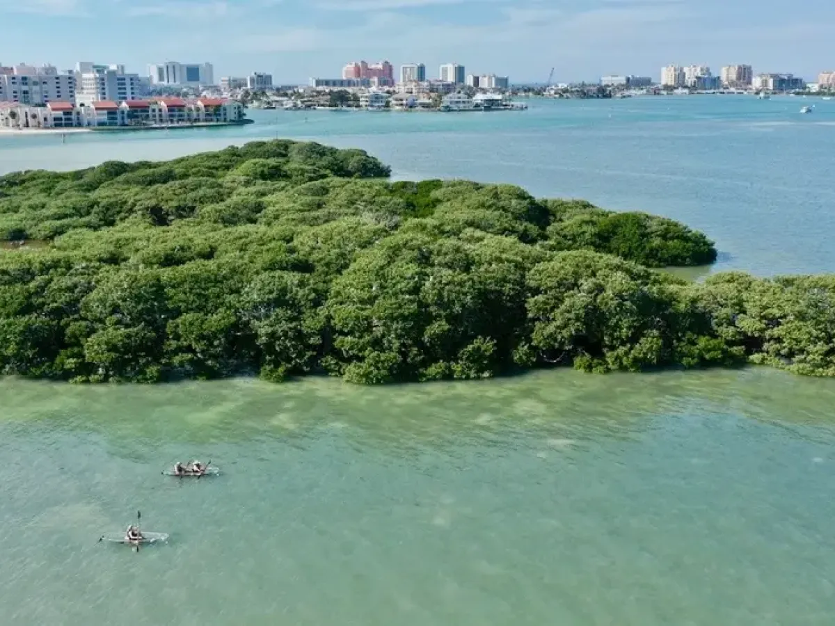 Aerial view of kayakers near a green island on a coastal waterway.
