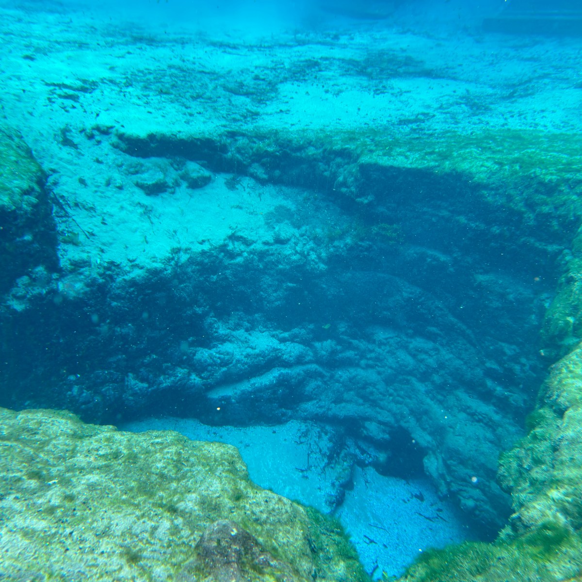 Underwater view of a clear, rocky sinkhole with swimmers above.