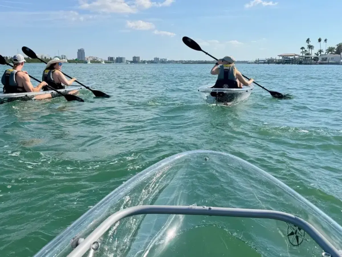 Three people kayaking in clear water on a sunny day.