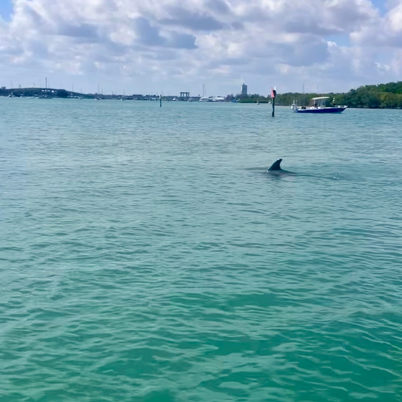 A dolphin fin visible in calm sea under a partly cloudy sky.