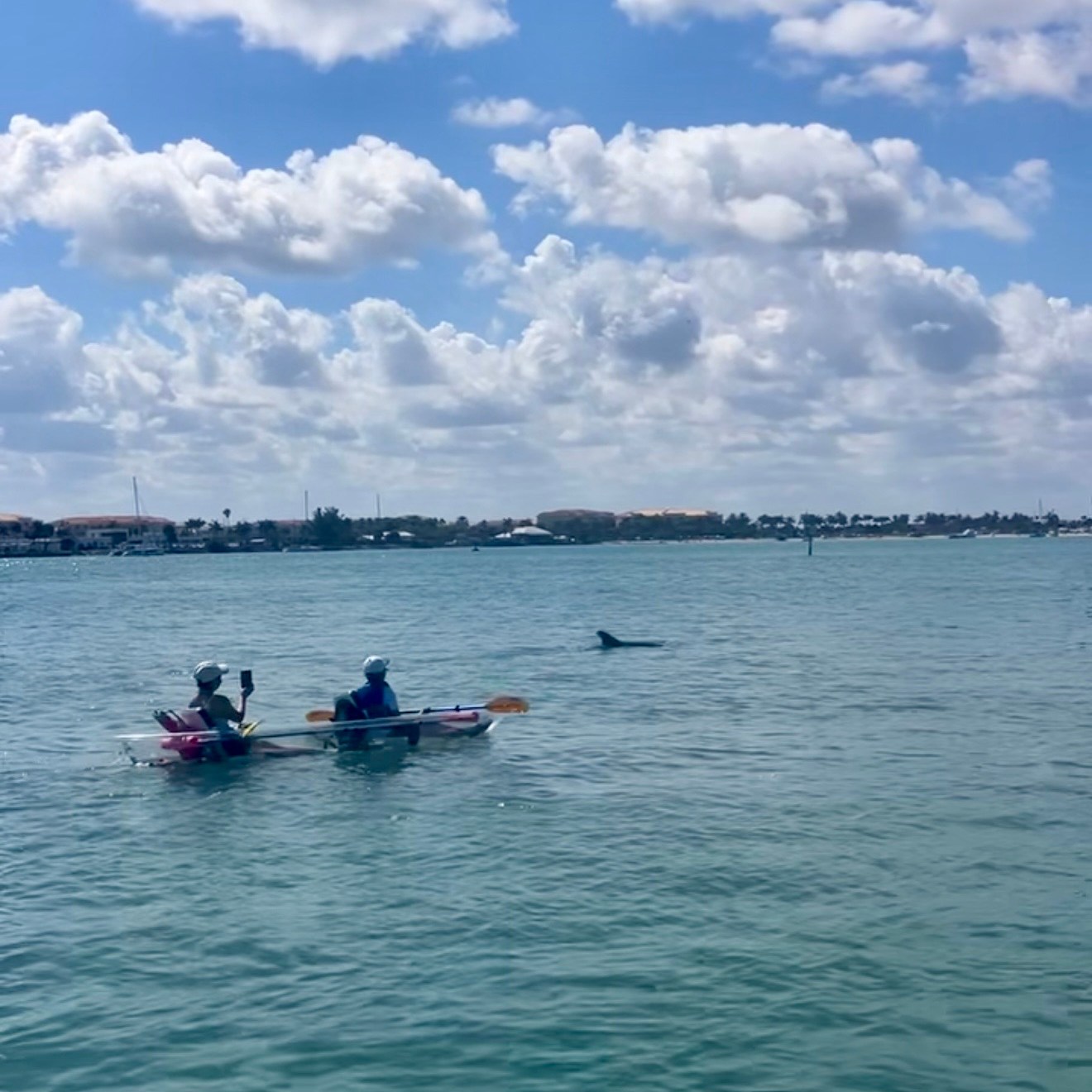 Two people kayaking on calm water under a cloudy sky, with a dolphin fin nearby.