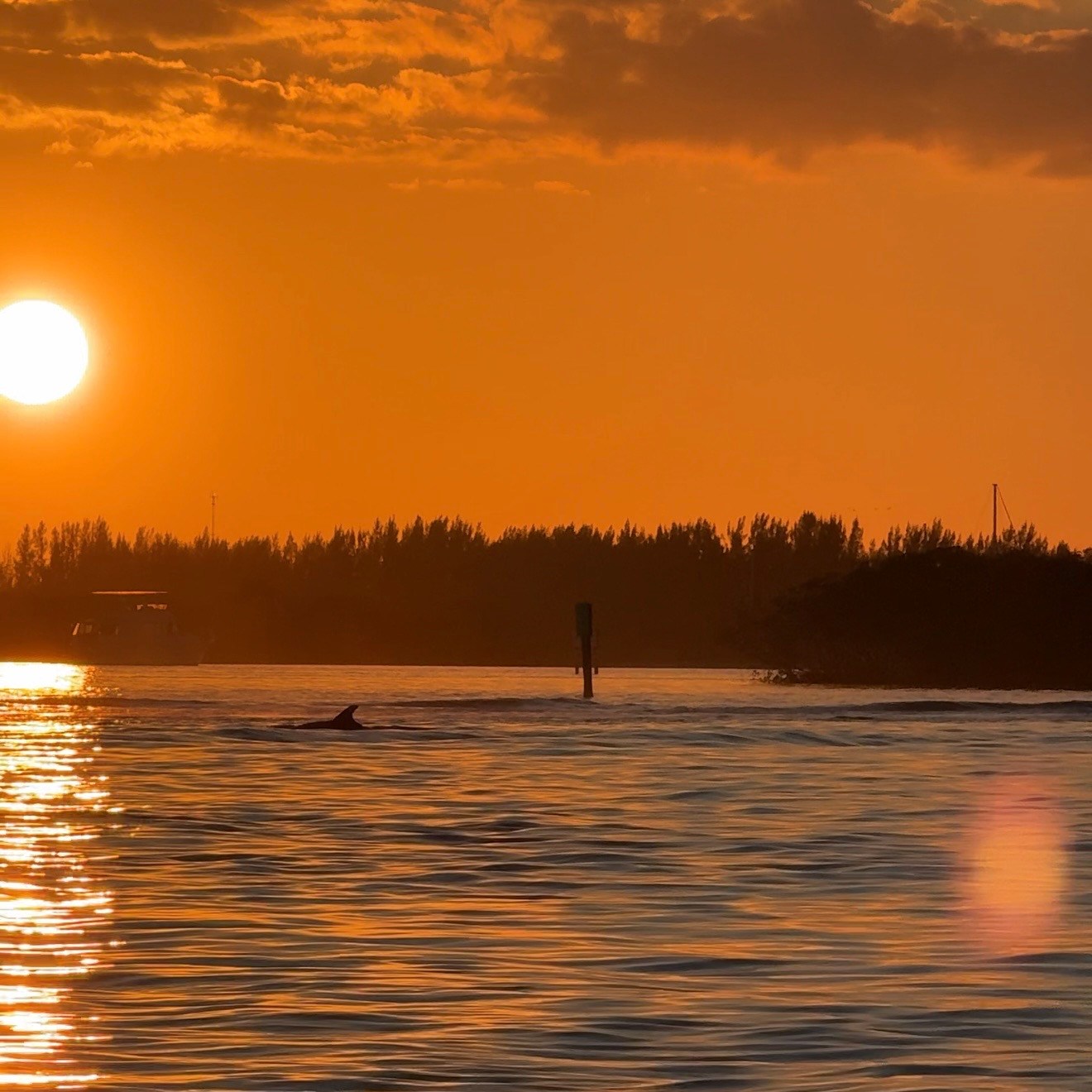 Sunset over water with silhouette of dolphin and clouds.