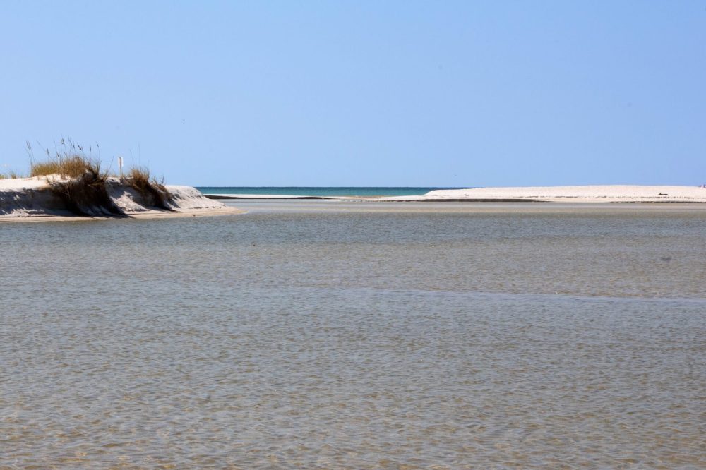 Calm water with sandy dunes and blue sky at a beach.