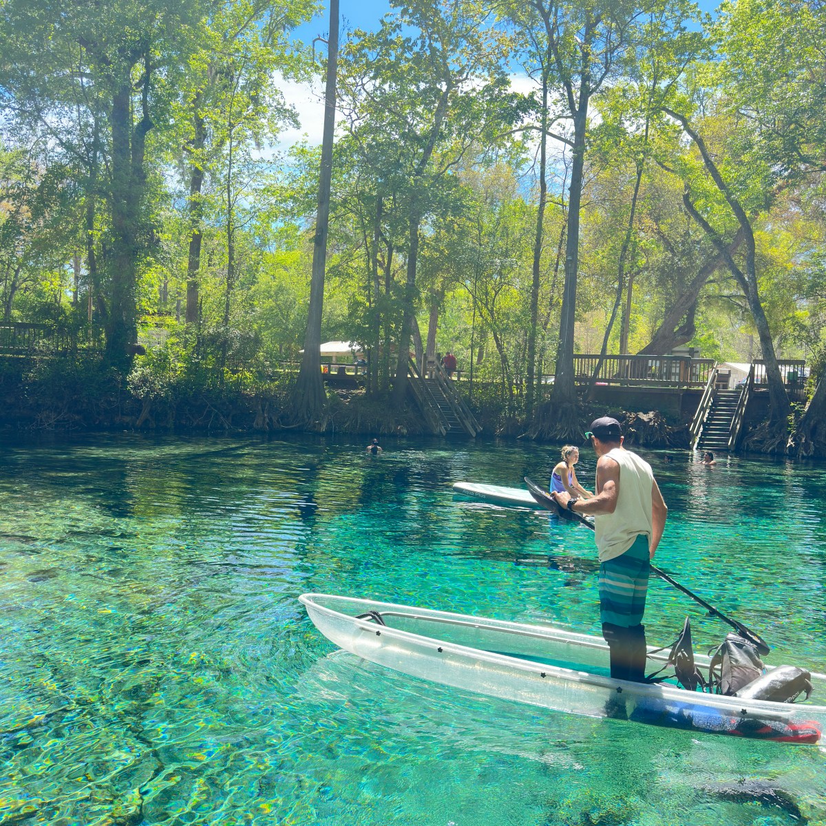 Man paddleboarding on clear water under trees.