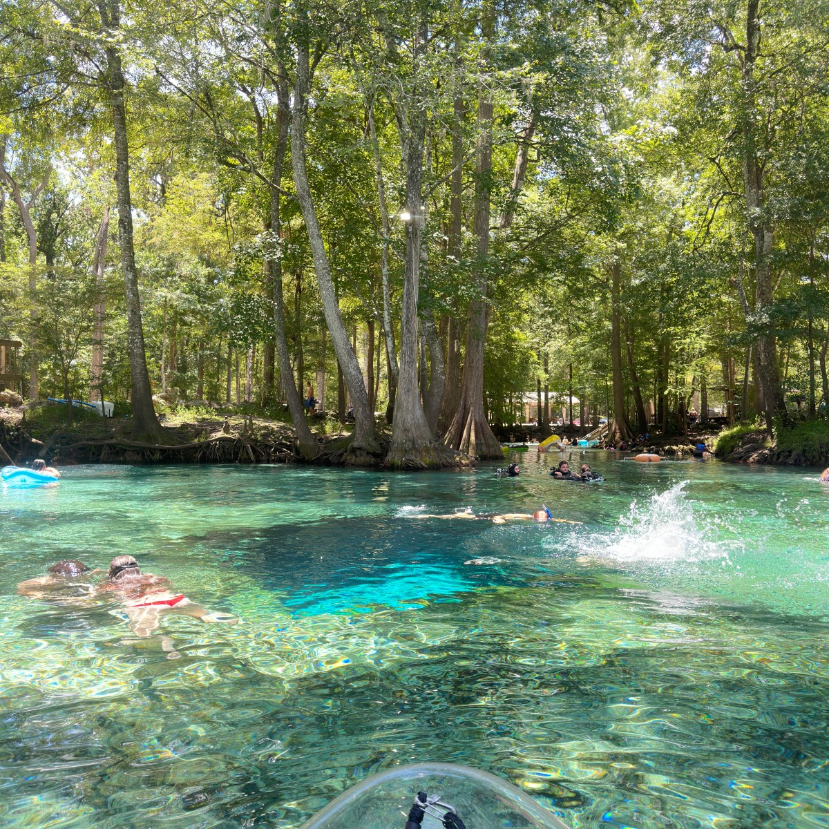 People swimming in clear spring water surrounded by trees.
