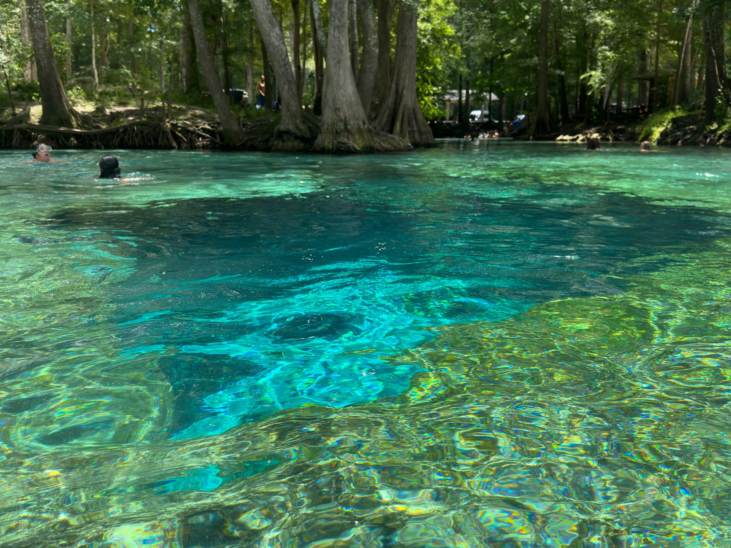 Clear blue spring water with trees in the background.