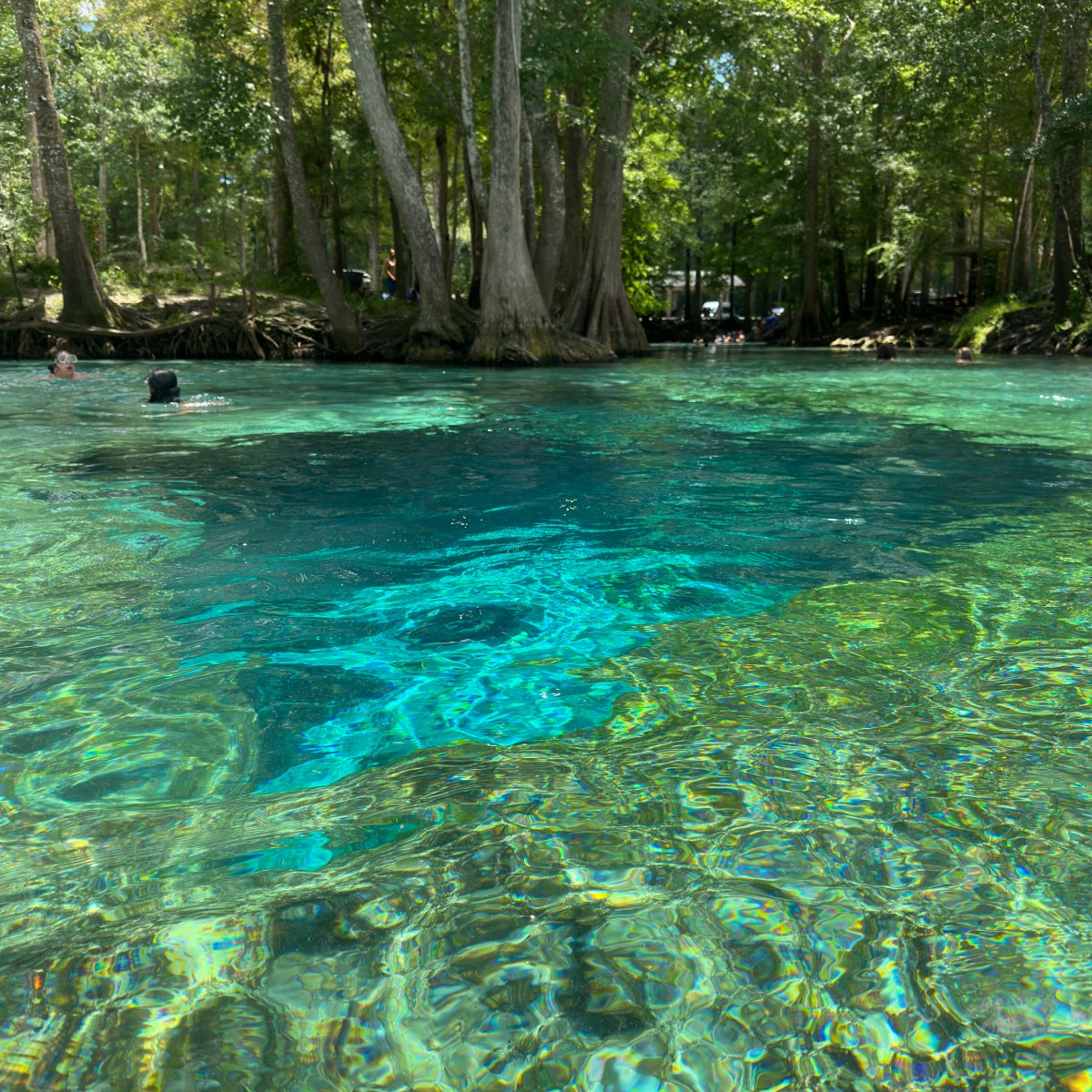 Clear blue spring water with trees in the background.
