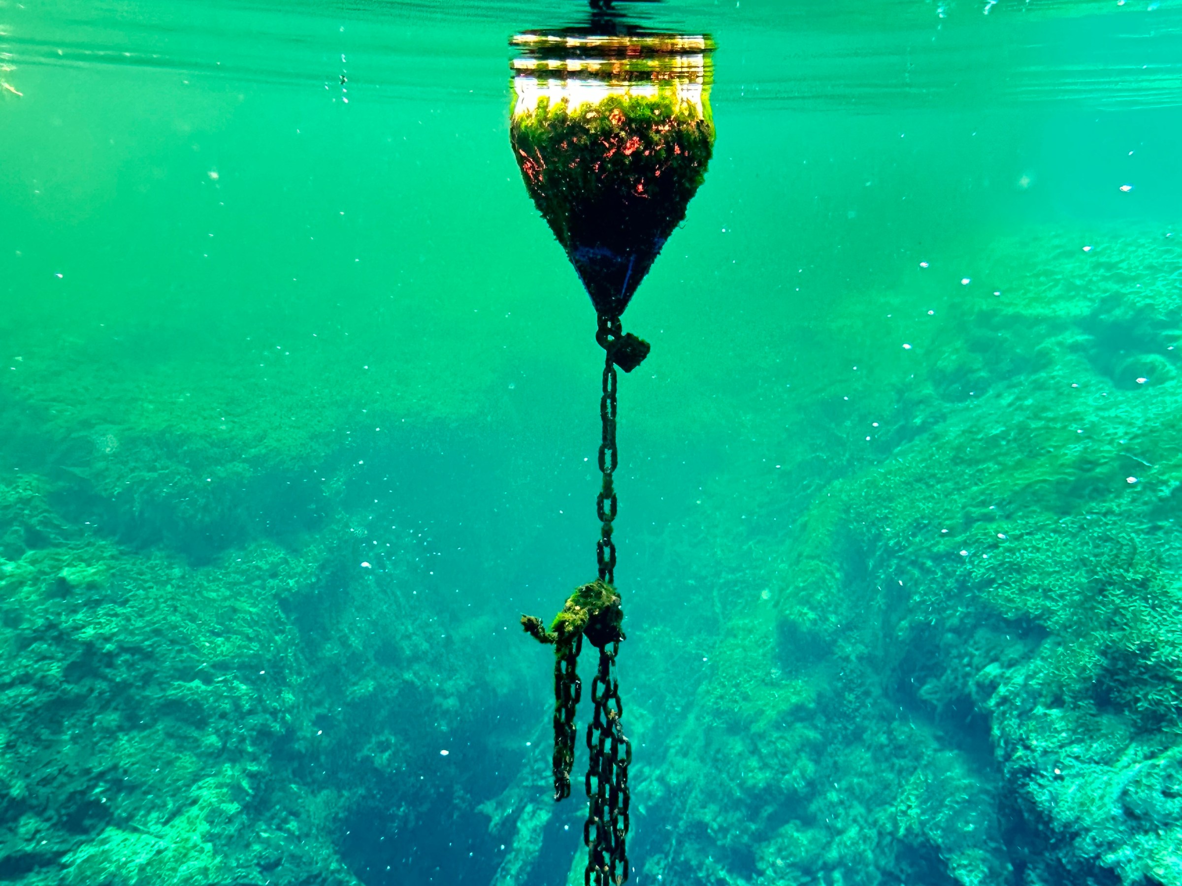 Underwater view of a buoy with a chain, clear water and rocks visible.