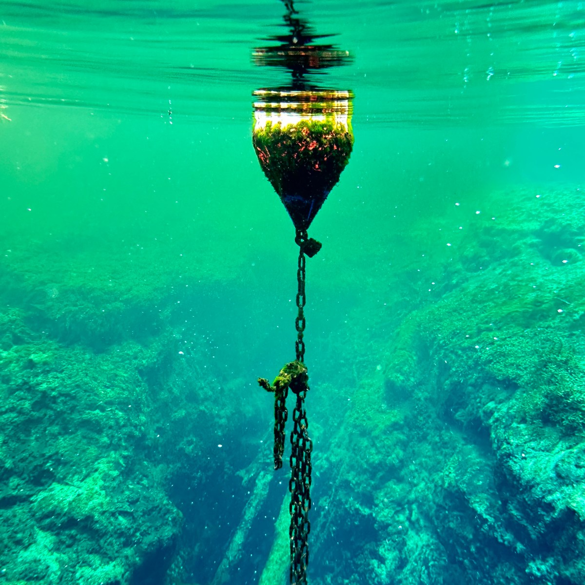 Underwater view of a buoy with a chain, clear water and rocks visible.