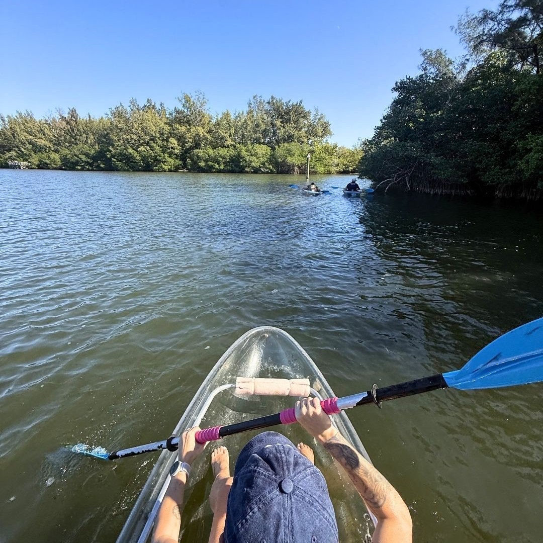 Person kayaking in clear water, surrounded by trees under a clear blue sky.