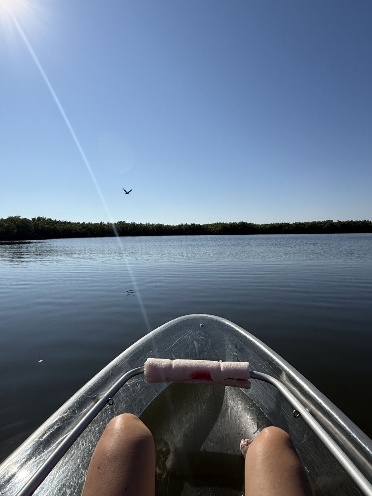 Person in kayak on calm lake under clear blue sky with bird flying