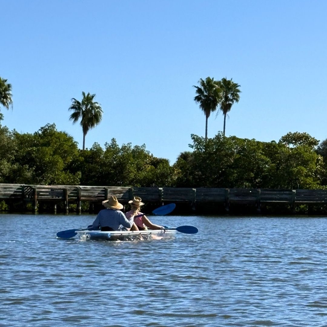 Two people kayaking on a calm river under a clear blue sky with palm trees in the background.