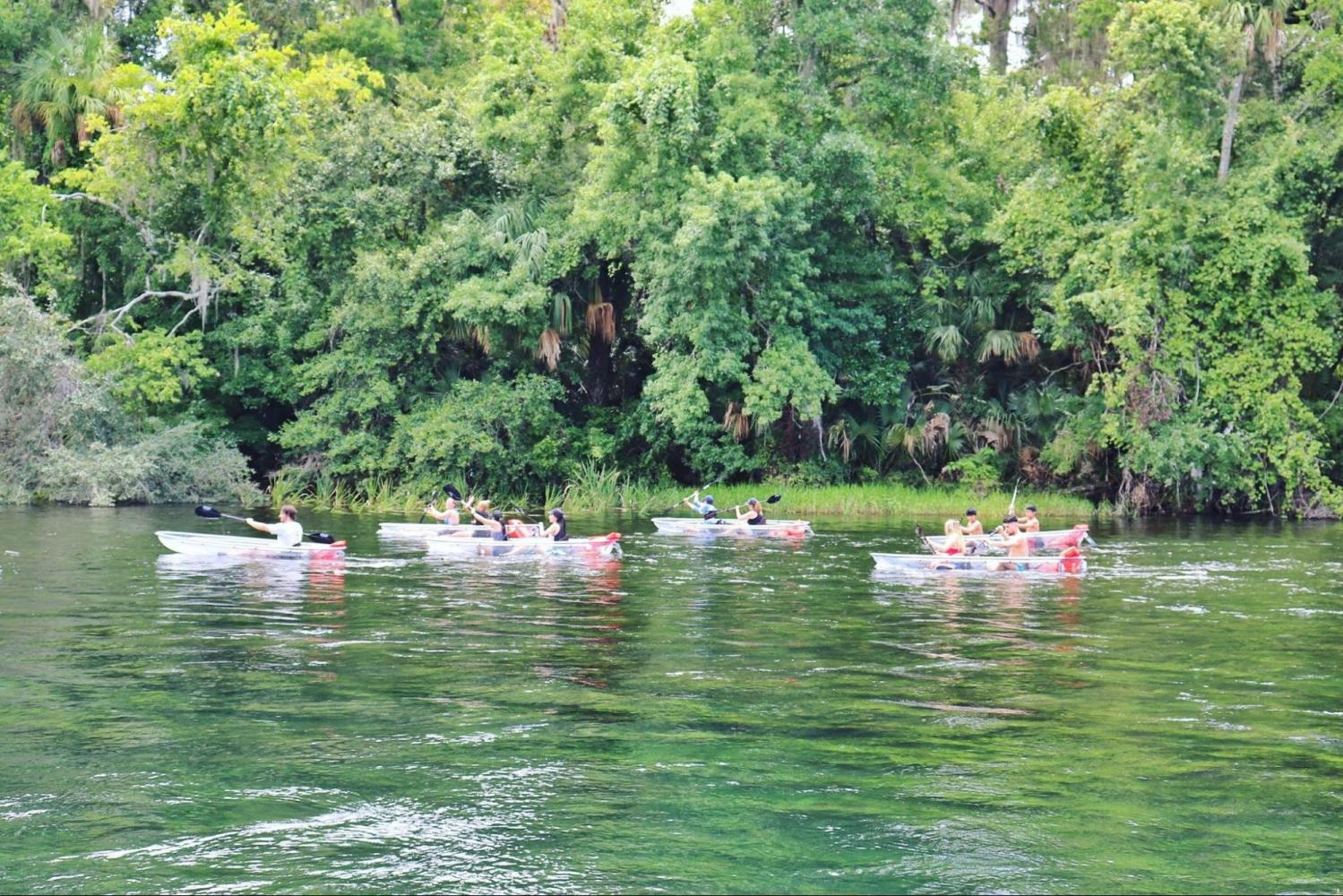 Groups kayaking on a green river with lush trees on the bank.