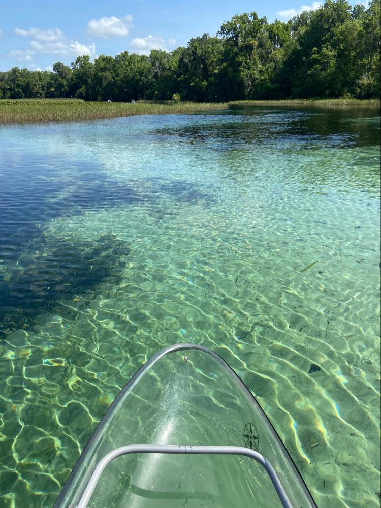 Clear water with kayak tip, surrounded by trees and blue sky.
