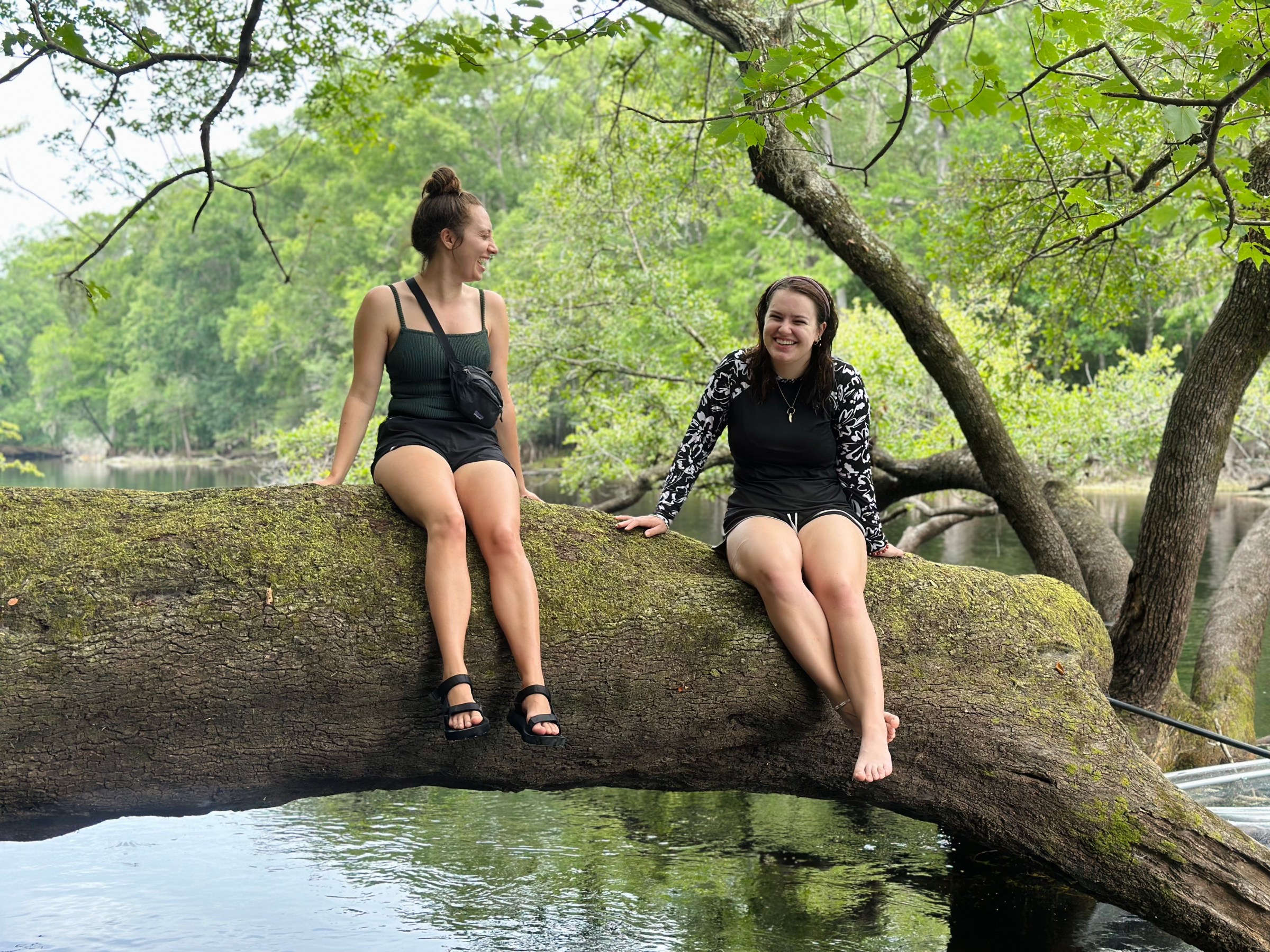 Two women sit on a large tree branch over water, surrounded by greenery.