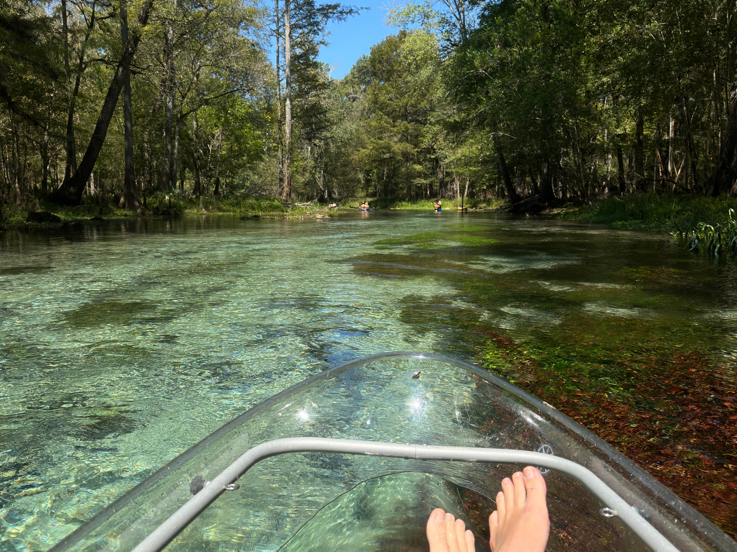 Person's legs in a clear kayak on a scenic, lush river.