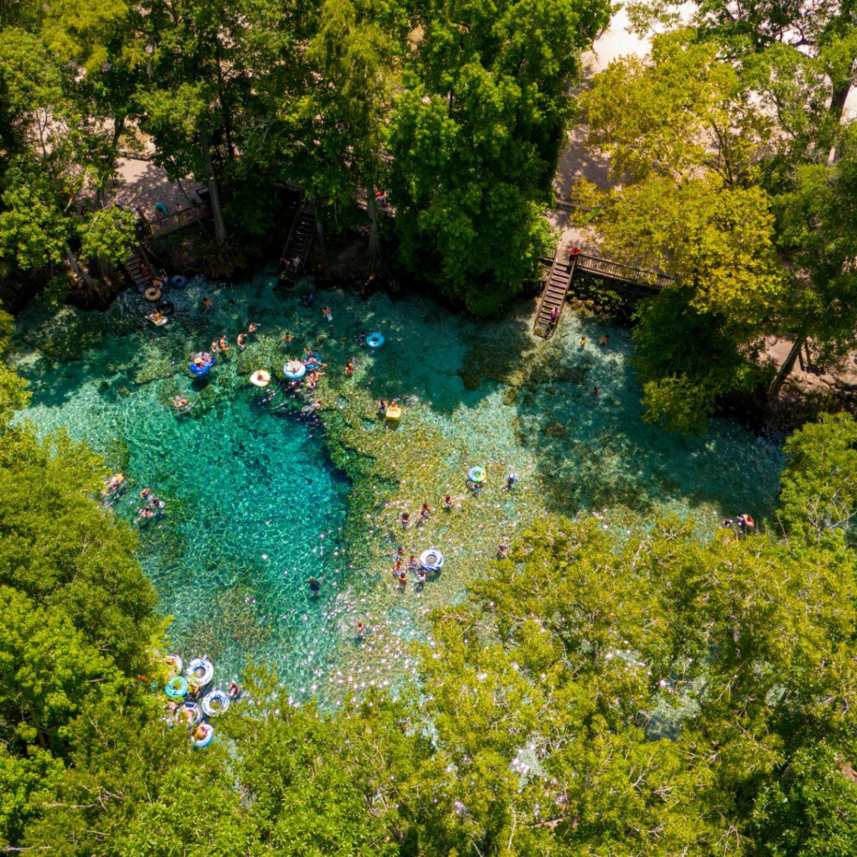 Aerial view of people swimming in a clear, blue spring surrounded by dense green trees.