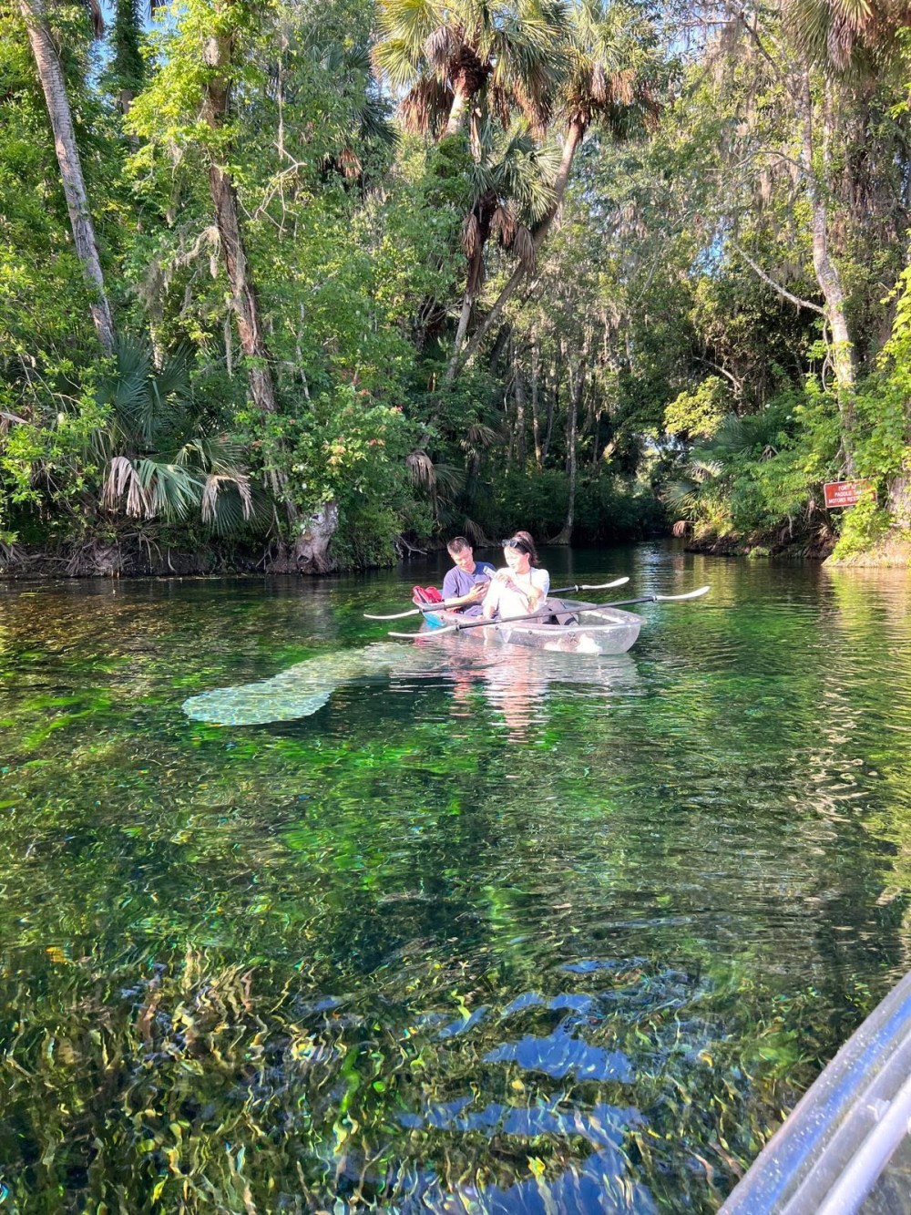 Two people kayaking on a clear, green river surrounded by lush trees.