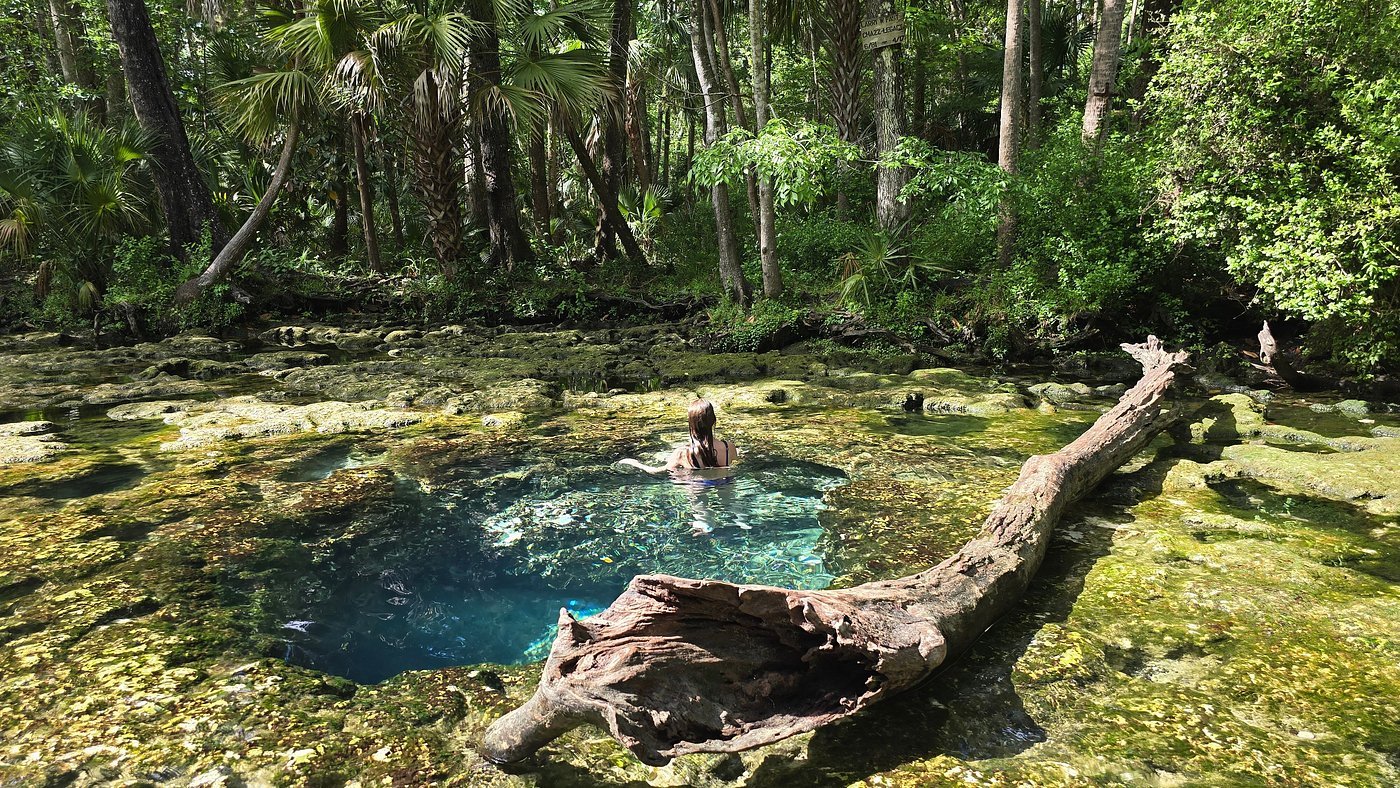 Woman swimming in natural spring surrounded by lush greenery and fallen log.