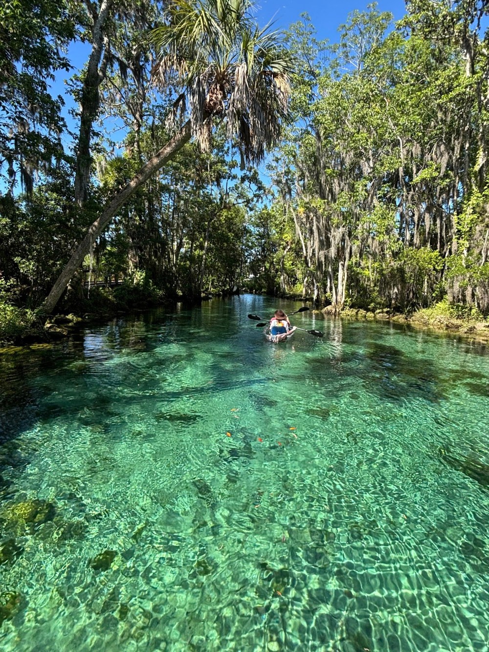 Person kayaking on clear water surrounded by trees under a blue sky.