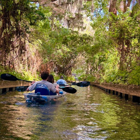 People kayaking through a narrow, tree-lined waterway.