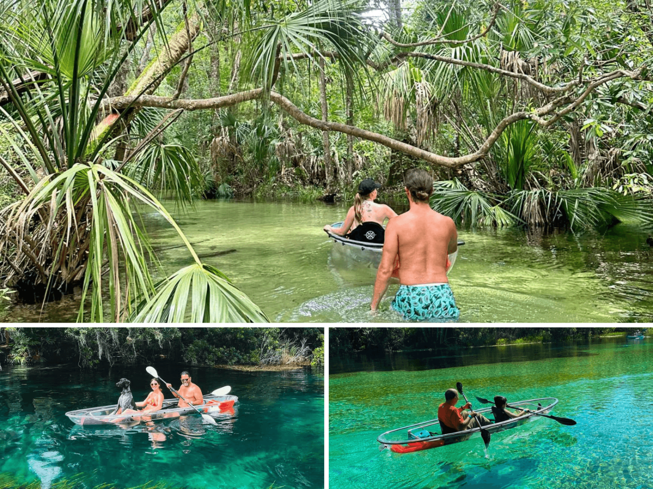 People kayaking in clear canoes through a lush, tropical waterway.