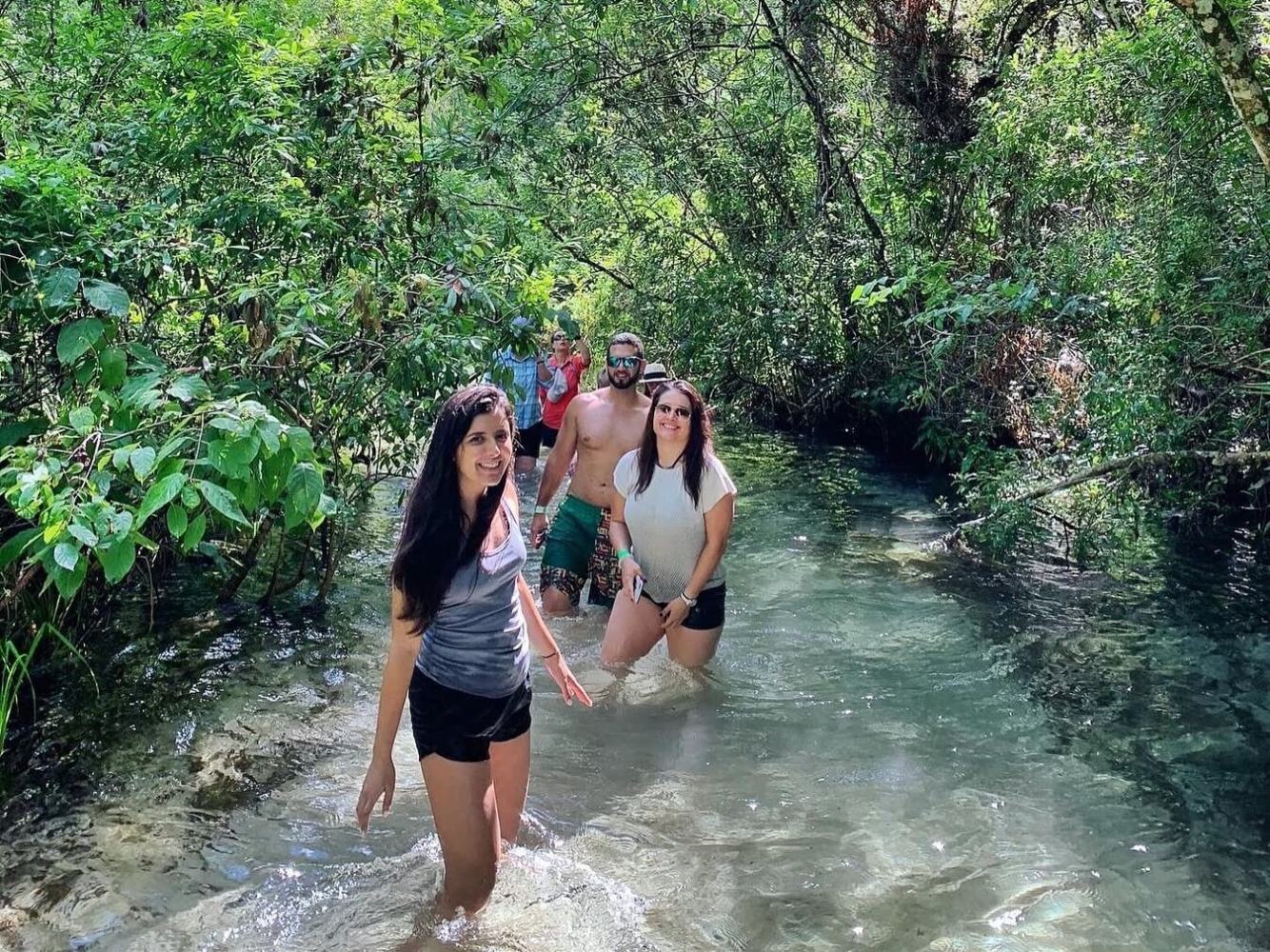 Four people walking in a clear forest stream, surrounded by lush greenery.
