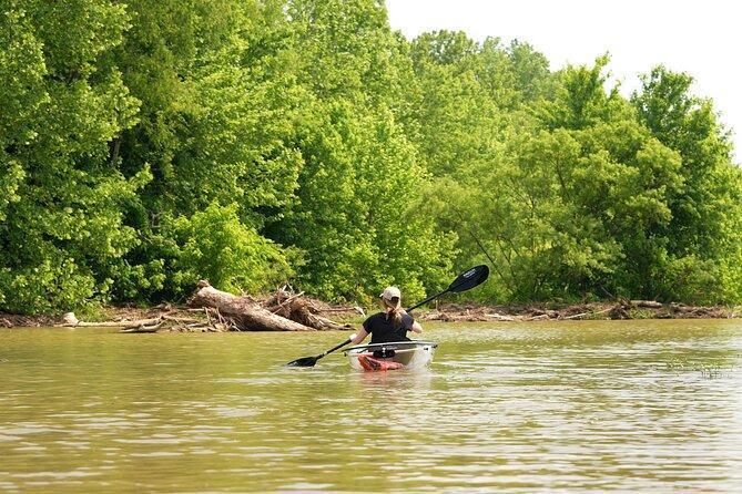 Person kayaking in calm water near lush green trees.
