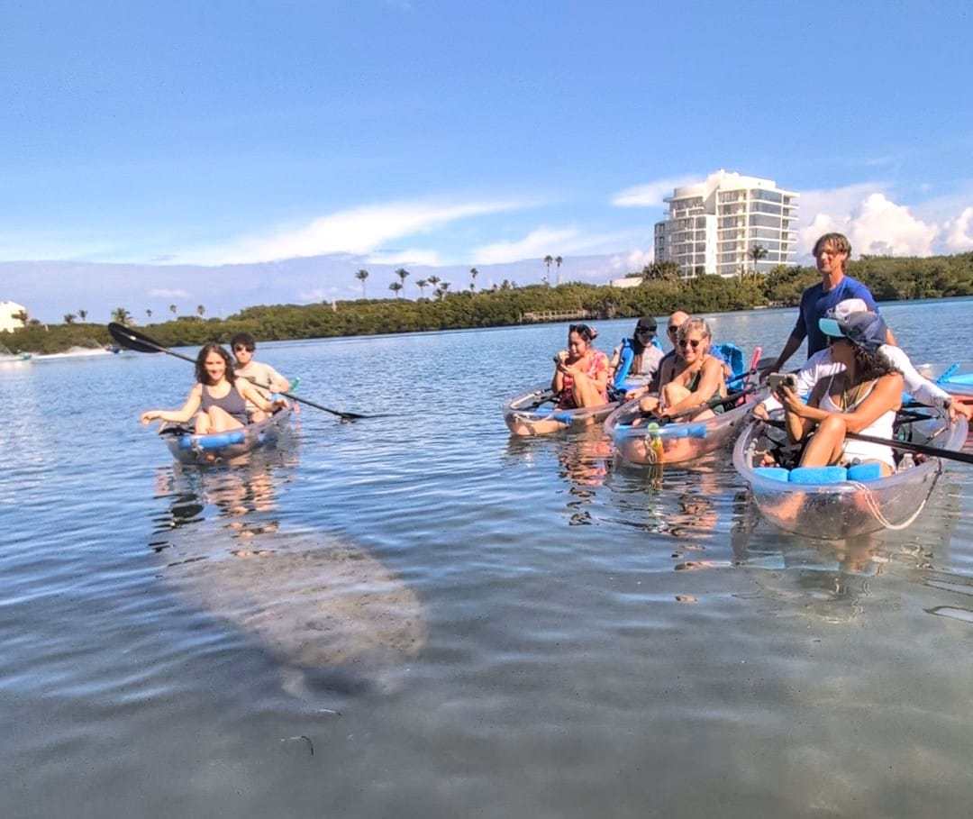 Group kayaking near a manatee in clear water, modern building in the background.