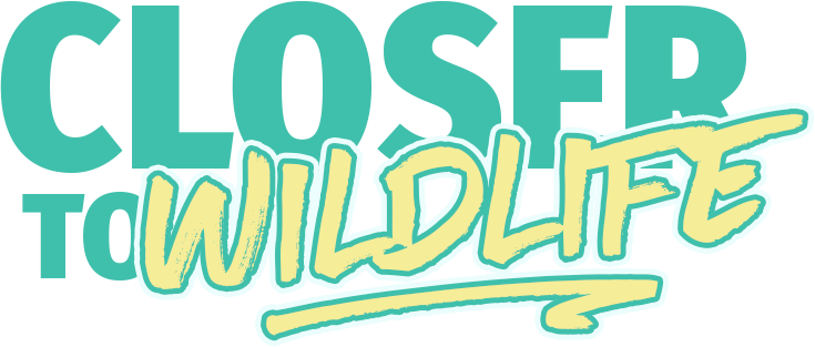 Text: 'Closer to Wildlife' in stylized fonts.